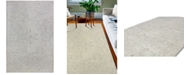BB Rugs Downtown HG350 3'9" x 5'9" Area Rug